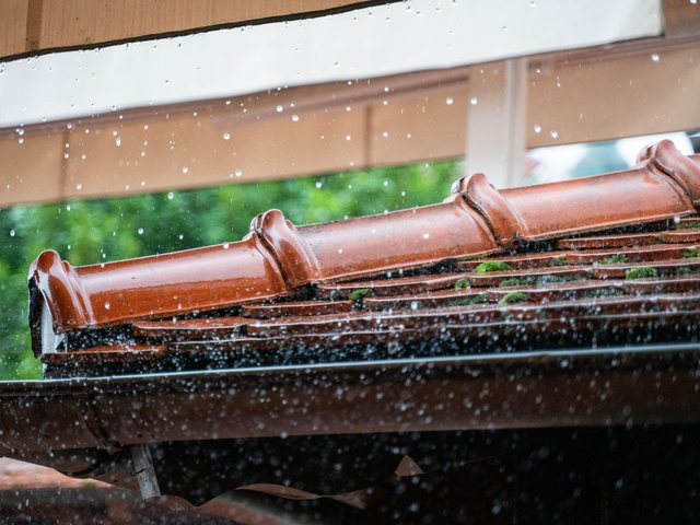 雨樋・排水